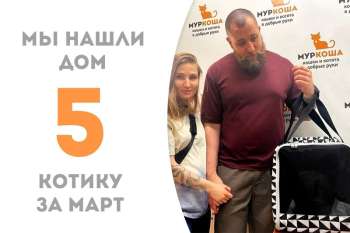 Мармарис отправился в домашнюю жизнь!