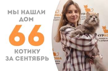 Всего два с половиной месяца понадобилось Мартиалу, чтобы найти семью, в которой уже есть наш недавний выпускник Грейди!