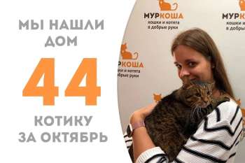 Масилёк встретил своего человека!