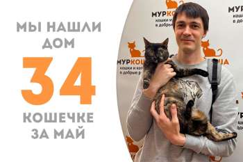Масямай обрела дом!