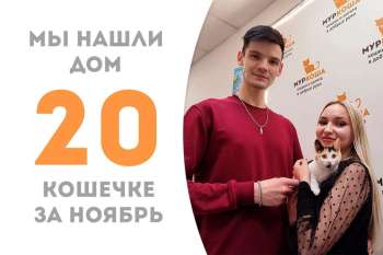 Меньше месяца потребовалось Матрёшке, чтобы стать домашней!