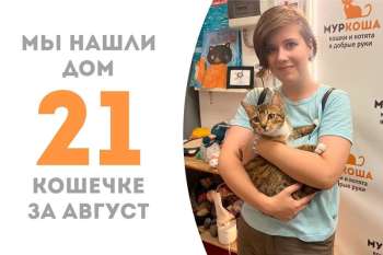Маврина отправляется домой!