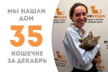 Майами улыбнулась удача!