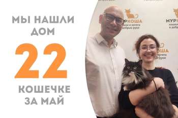 Пышная булочка Майра обретает хозяев!