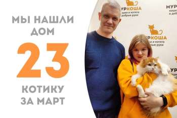 Медовик уехал в дружную семью!