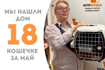 Мэнни становится домашней!