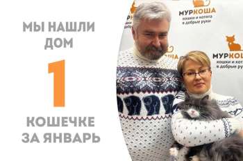 Мерлоша, пробыв 2 месяца в приюте, отправляется в семью первой счастливицей этого года!