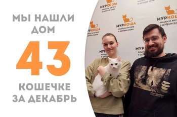 Метелица нашла семью меньше чем за два месяца!