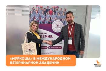 "Муркоша" на приеме в АНО "ВО Международная ветеринарная академия" 