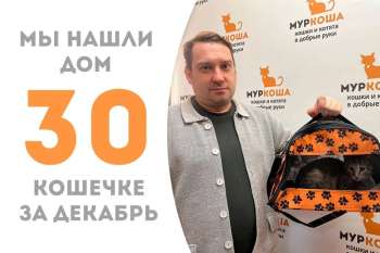 Мицуи прощается с нами спустя пару месяцев!