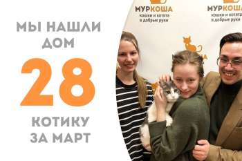 Мифодий обрел семью!