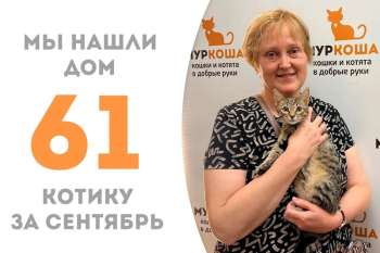 Всего за одиннадцать дней Михасик становится домашним!