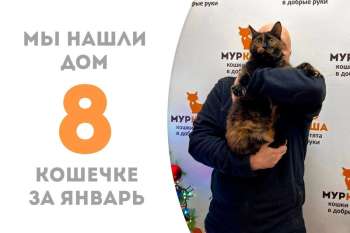 Милашкамай встретила своего человека!