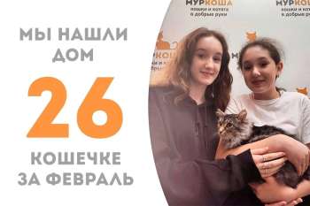 Миловашка нашла себе чудесную семью, в которой её ждёт наш выпускник Мишутка!