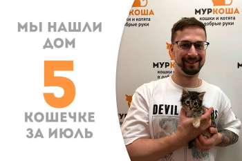 Всего лишь за неделю Мими нашла себе хозяина!