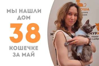Мимомо встретила своих людей!