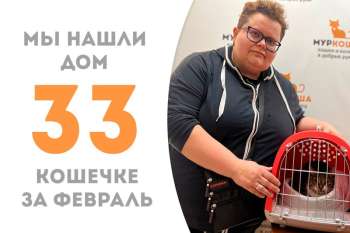 Наша милая Минерва стала домашней!