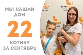 Немногим больше одного месяца понадобилось Мингусу, чтобы встретить свою семью!