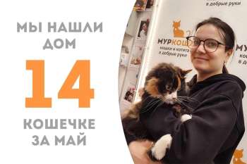 Прошло немногим больше трех месяцев и красавица Мирей снова обрела дом!