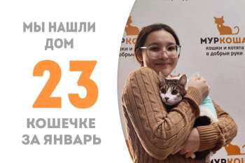 Милейшея и славная Мирюша обрела добрые ручки!