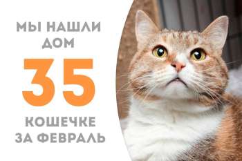Миучча уехала жить к своему куратору!