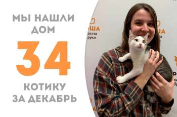 Моцарт всего за три недели нашел хозяйку!
