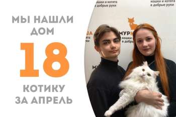 Прекрасный Монарх уезжает в домашнее королевство!