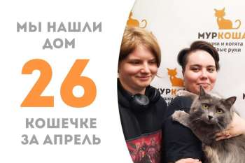 Монпансье снова становится домашней!