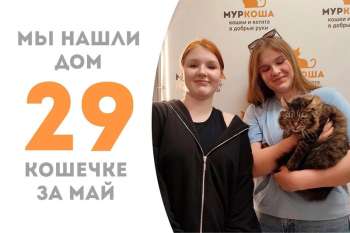 Булочка Морико уезжает к Кинсе!
