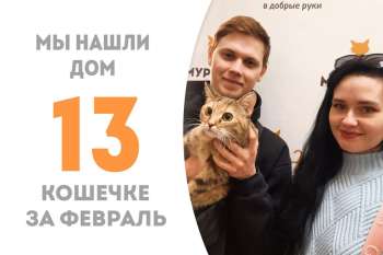 Морриган покидает наш приют, чтобы отправиться в свой новый дом!