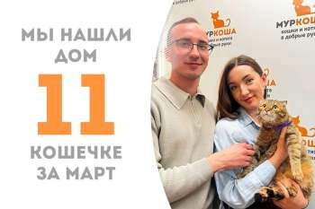 Проводили Муиззу в домашнюю жизнь!