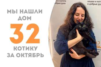 Мумбай обретает дом!