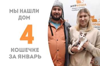 Милая Мурешна, не пробыв в приюте и двух недель, отправляется домой!