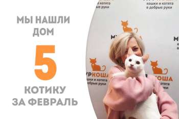 Лапочка Мусяшкин становится домашним!