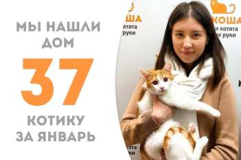Юный Мяурицио стал домашним!