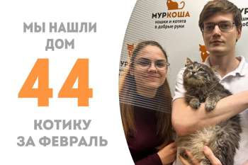 Наполеон завоевал сердца своих людей и уезжает жить к нашей недавней выпускнице Усладе!