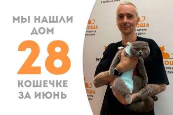 Меньше месяца потребовалось пышной Навассе, чтобы обрести семью!
