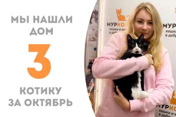 Найтик встретил своего человека!
