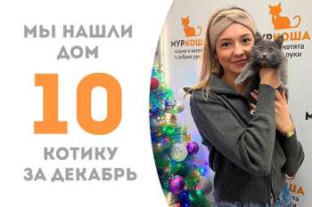 Всего за 3 недельки эффектный Неон нашел своё счастье!