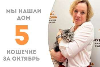 Провожаем в новую жизнь Невенку!