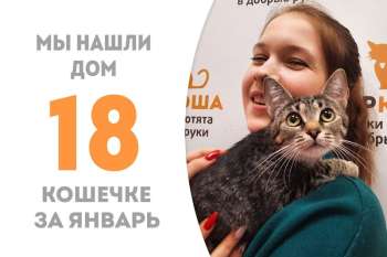 Незуко встретила своего человека!