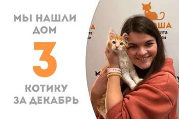 Милому Нишико улыбнулась удача!