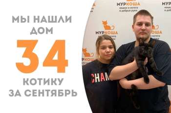 Норвуд отправляется домой спустя два с половиной месяца!