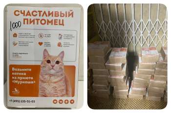 Новые плакаты "Муркоши"