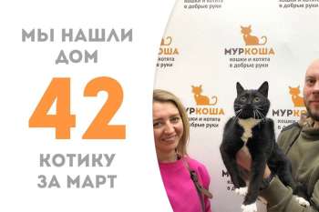 Харизматичный Паксиль нашел свою семью!