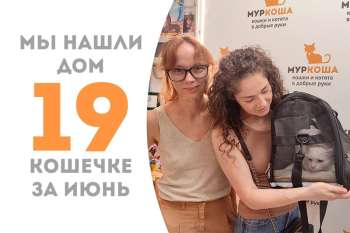 Нежнейшая Пастила становится домашней!