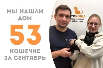 Павлинка покинула приют спустя три недели!
