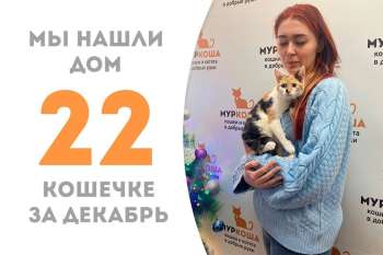 Чуть меньше двух месяцев прошло, а Перлита уже успела встретить свою добрую хозяйку!