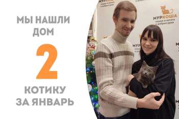 Пинч, не пробыв в “Муркоше” и месяца, становится вторым счастливчиком наступившего года!