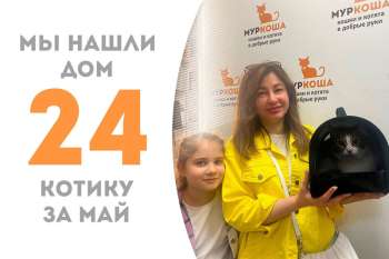Пиноккио обрёл домашнее счастье!